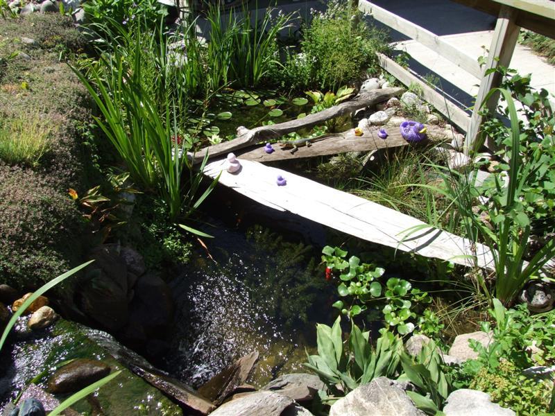 pond at Grandma's Parlor